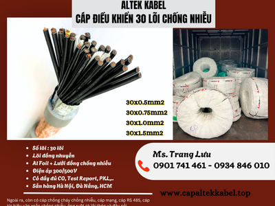 Cáp điều khiển chống nhiễu Altek kabel 30x0.5/30x0.75/30x1.0/30x1.5 2