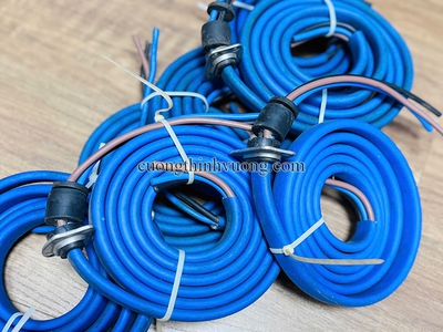 Cường Thịnh Vương cung cấp phụ kiện máy bơm nước chính hãng giá tốt 5