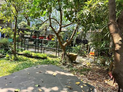 Chính chủ cho thuê căn hộ kiểu villa nhà vườn 89/5 Nguyễn Công Trứ, quận Sơn Trà 4