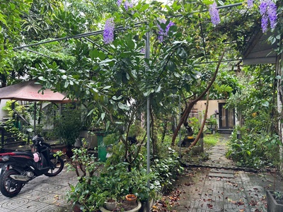 Chính chủ cho thuê căn hộ kiểu villa nhà vườn 89/5 Nguyễn Công Trứ, quận Sơn Trà 9