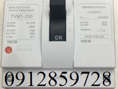 TVM1-250-3175F Cầu dao điện Teco 0
