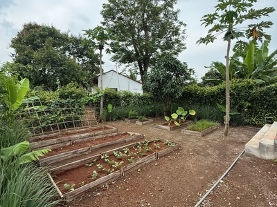 Greenery House - Bà Rịa Vũng Tàu - Sở Hữu nhà vườn nghỉ dưỡng chỉ từ 3 tỷ 1