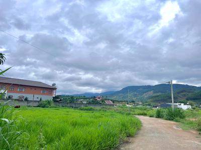Đất ven đà Lạt nở hậu không gian nhà vườn nghỉ dưỡng 1