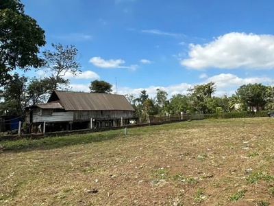 Diện tích đất rộng tới 1646m2, thoải mái cho các bác muốn đầu tư dài hạn hoặc làm nhà vườn nghỉ 0