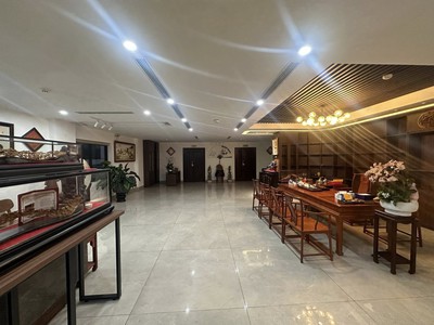 LK The Nelson Láng Hạ -giảng võ 115M2 6 Tầng 68.6 Tỷ Vị trí đẹp có tính giá trị thương mại 2