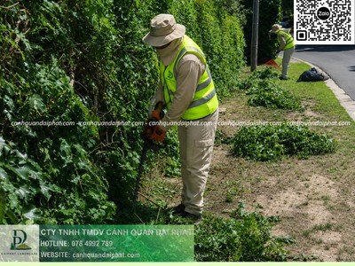 Dịch vụ Chăm sóc cây xanh KCN Linh Trung TPHCM 0