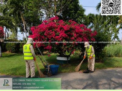 Dịch vụ Chăm sóc cây xanh KCN Linh Trung TPHCM 2