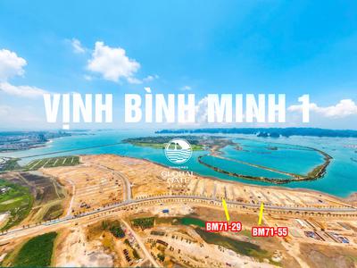 Siêu phẩm 2 căn góc biệt thự song lập Vịnh Bình Minh 1 trục đại lộ Apolo giá từ 31 tỷ/căn 1