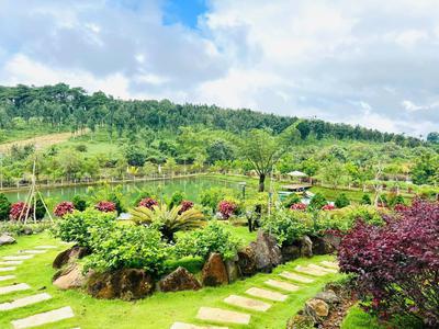 Chủ ngộp bán gấp 500m2 đất nghỉ dưỡng view rừng thông sổ sẵn giá siêu ngộp 1