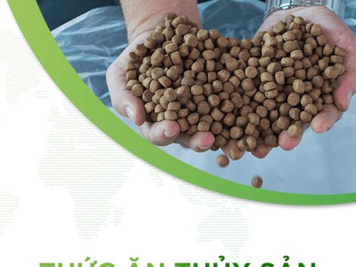 Thủ tục nhập khẩu thức ăn thủy sản 0