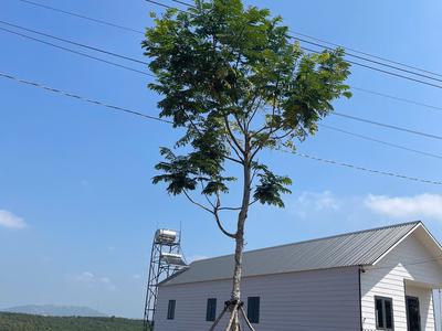 BÁN ĐẤT NGHỈ DƯỠNG view hồ bảo lộc 0