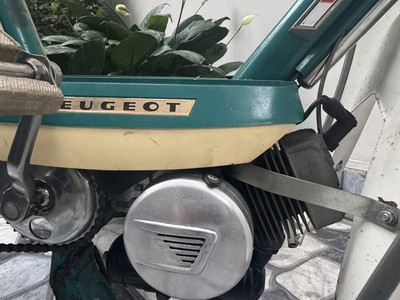 Siêu Phẩm Xe Đạp Máy Pegueot 102 1