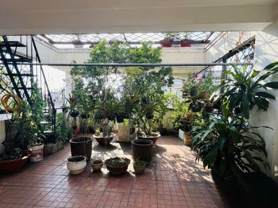 Bán nhà vị trí đẹp hxt ngang 5.3m 122m2 cmt8 kd buôn bán gần bv thống nhất sát 19 tỷ. 2