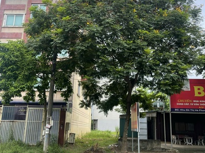 Đất đẹp mặt tiền 8m - xây nhà hoặc đầu tư đều hợp lý 1