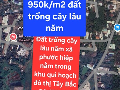 Bán gấp 14.250m đất trồng cây lâu năm tại xã phước hiệp, huyện củ chi, tp hồ chí minh - chỉ 0