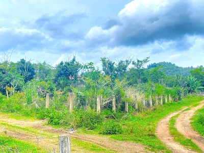 1,1 ha đất hẻm bên sông pré, phú hội cũ, đức trọng, lâm đồng 1