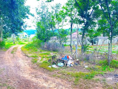 1,1 ha đất hẻm bên sông pré, phú hội cũ, đức trọng, lâm đồng 2