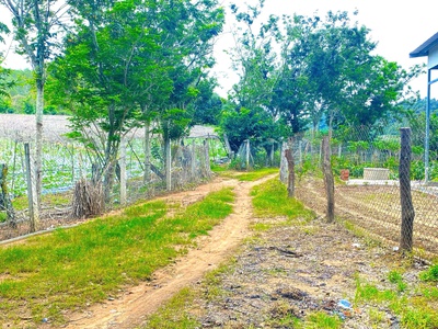 1,1 ha đất hẻm bên sông pré, phú hội cũ, đức trọng, lâm đồng 3