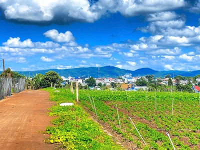 Đất hẻm pê tông 5m cos pha, liên hiệp, đức trọng cũ, lâm đồng 0