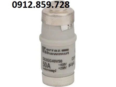 Cầu chì 50A 400V D02GG40V50 0