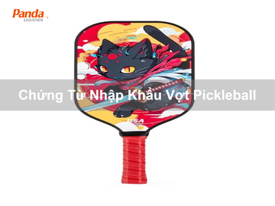 Chứng Từ Nhập Khẩu Vợt Pickleball 0