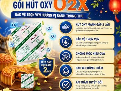 Các giải pháp chống mốc bánh trung thu 0
