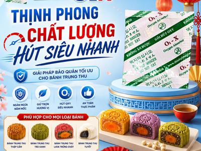 Các loại chống mốc phổ biến cho bánh trung thu 4