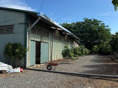 Bán 6.125m đất nhà xưởng, mặt tiền đường huỳnh tấn phát, phú xuân, nhà bè, hồ chí minh 3