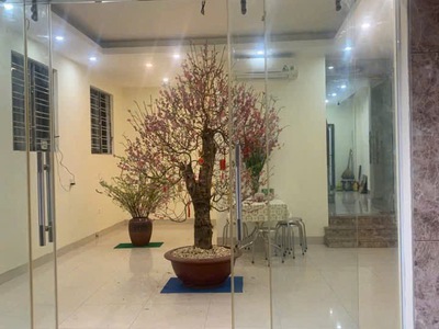 Cho thuê tầng 1 riêng biệt thịnh quang, đống đa 0