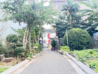 80m2 đất mai lâm đông anh - 5.2 tỷ 0