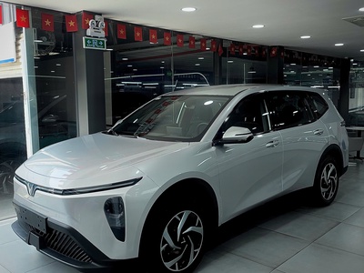 Vinfast Limo Green 2026 623 Triệu Nhận Xe Ngay 0