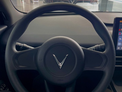 Vinfast Limo Green 2026 623 Triệu Nhận Xe Ngay 9