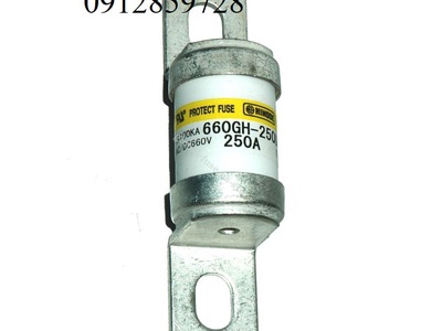 Cầu chì 250A 660V, Model: 660GH-250ULTC 0