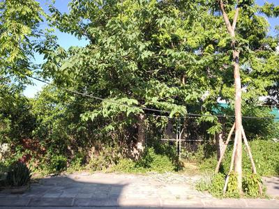 Lô góc đường rộng 40m, vỉa hè đá bóng. khu đất đấu giá nguyên khê, đông anh, hà nội 1