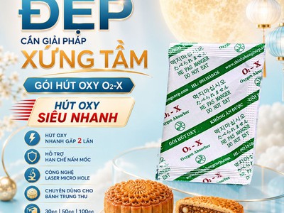 Bí quyết chống mốc bánh trung thu 6