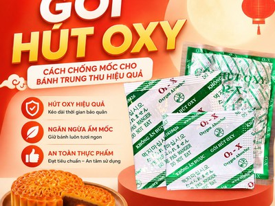Bí quyết chống mốc bánh trung thu 11