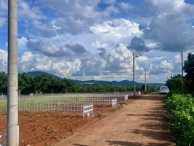 Cần bán đất thổ cư gần chợ Thăng Long - hạ tầng chuẩn chỉnh 0