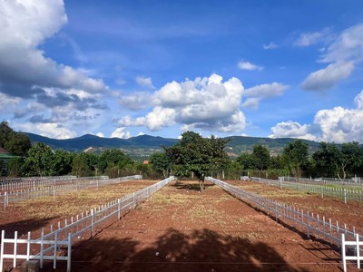 Cần bán đất thổ cư gần chợ Thăng Long - hạ tầng chuẩn chỉnh 1
