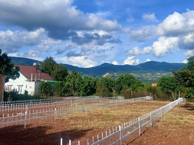 Cần bán đất thổ cư gần chợ Thăng Long - hạ tầng chuẩn chỉnh 2