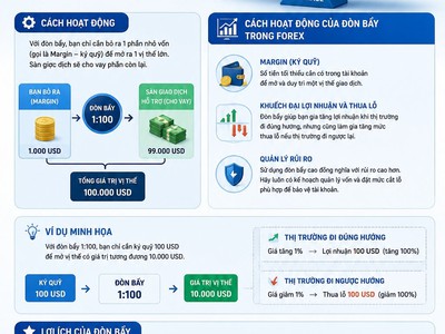 ĐÒN BẨY trong FOREX là gì Hiểu đúng để giao dich hiệu quả hơn 0