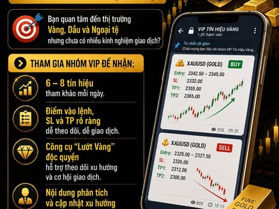 Tham gia NHÓM VIP TÍN HIỆU thị trường 0