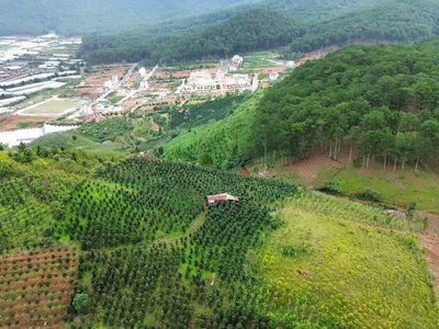Bán đất nghỉ dưỡng , canh tác tại lang biang, đà lạt , lâm đồng 0