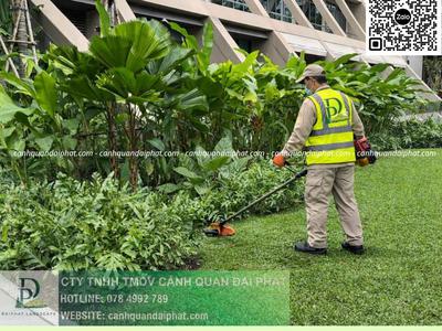 Báo giá chăm sóc cây xanh cắt cỏ định kỳ KCN Long Đức Đồng Nai 3