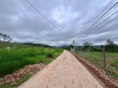 Cần bán đất Nam Ban vùng ven Đà Lạt , nhiều thổ cư , cạnh đồi thông phù hợp nghỉ dưỡng 2