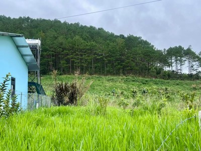 Cần bán đất Nam Ban vùng ven Đà Lạt , nhiều thổ cư , cạnh đồi thông phù hợp nghỉ dưỡng 0