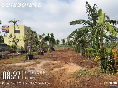 Siêu phẩm đất mặt tiền đường tỉnh lộ 772, xuân lộc, đồng nai, dt 1.230m2, giá đầu tư 1