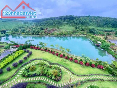 Đất nghĩ dưỡng view hồ làng OMM Bảo Lộc chỉ 1.5 tỷ 3