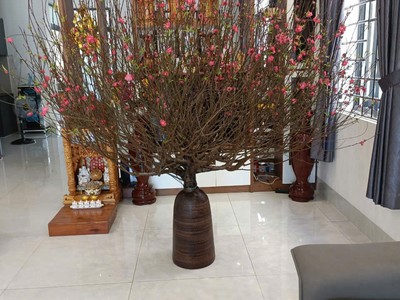 Gốm Sứ FULO Địa Chỉ Cung Cấp Bình Hoa, Chậu Gốm Cỡ Lớn Cắm Đào Huyền, Mộc Lan, Đào Rừng Uy Tín Tại 2