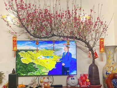 Gốm Sứ FULO Địa Chỉ Cung Cấp Bình Hoa, Chậu Gốm Cỡ Lớn Cắm Đào Huyền, Mộc Lan, Đào Rừng Uy Tín Tại 1