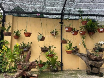 Bán căn biệt thự full nội thất xã đồng trúc, thạch thất, hn 1